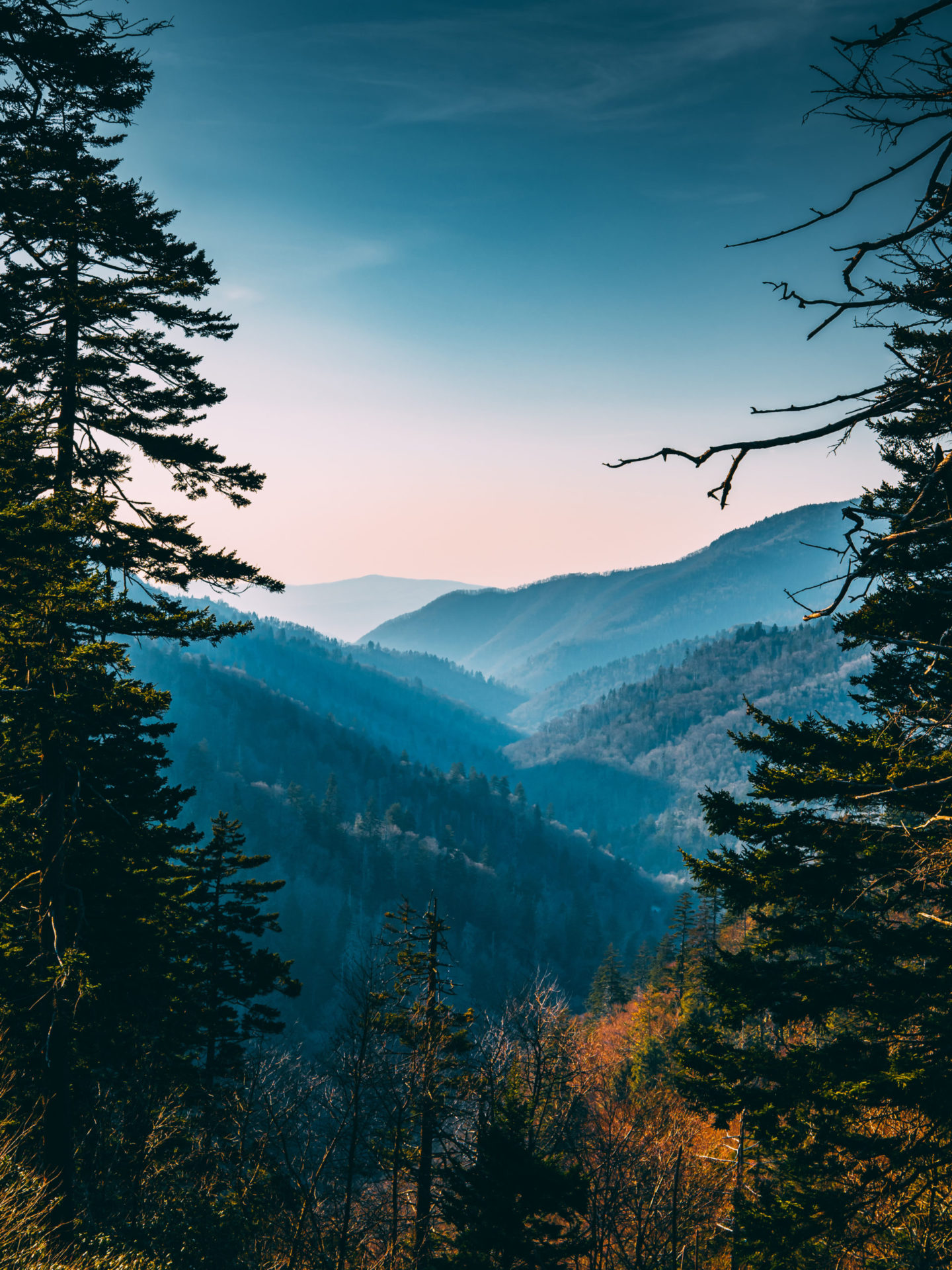 Photo of Smoky Mountains - Tatro Creative